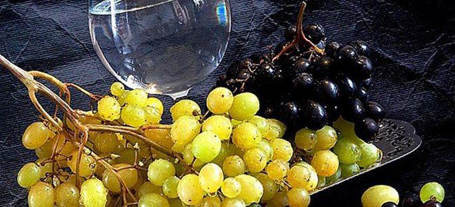 Рецепты браги из винограда для самогона в домашних условия