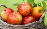 Простые рецепты вкусного яблочного самогона в домашних условиях